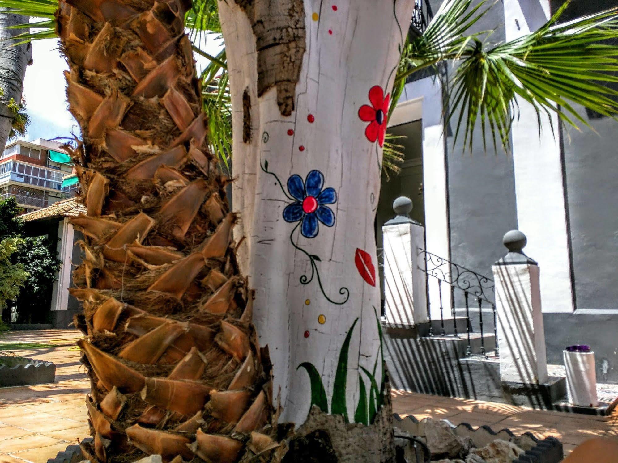 Nwt Paradise Urban Hostel Αλικάντε Εξωτερικό φωτογραφία